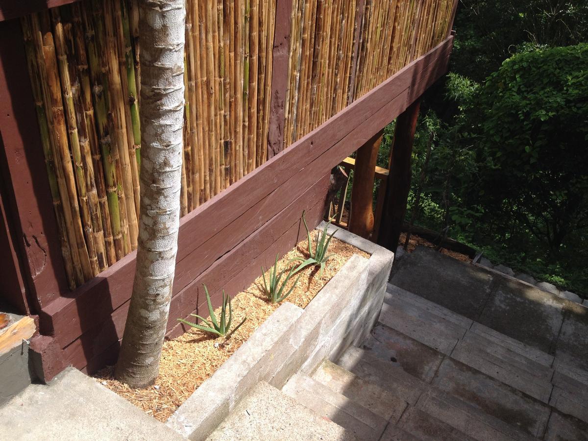 Mamallena Eco Lodge La Laguna de San Carlos Exterior foto